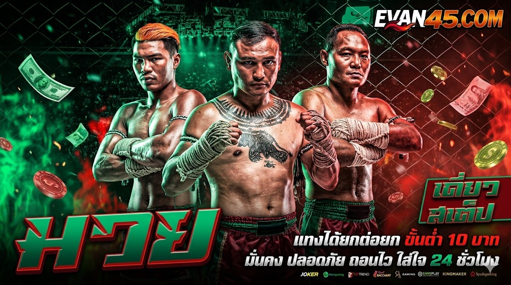 เว็บแทงมวยออนไลน์ เล่นยังไง พร้อมเทคนิคสำหรับมือใหม่